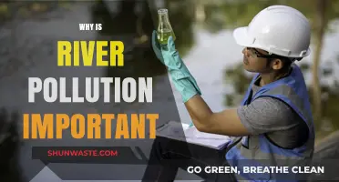 River Pollution Crisis: Understanding Its Impact on Ecosystems and Communities