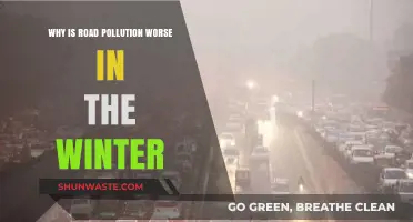 Winter's Chilling Effect: Why Road Pollution Peaks in Cold Months