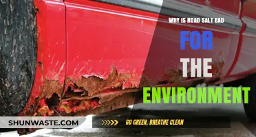 Road Salt's Hidden Costs: Environmental Impacts and Sustainable Alternatives