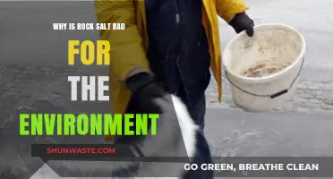 Rock Salt's Environmental Impact: Harmful Effects on Ecosystems and Waterways