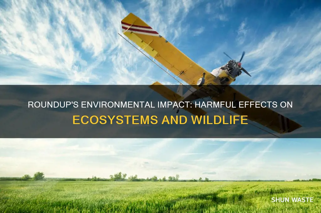 why is roundup bad for the environment