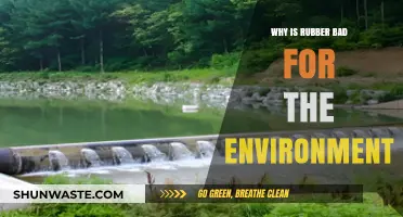 Rubber's Environmental Impact: Pollution, Deforestation, and Sustainability Challenges