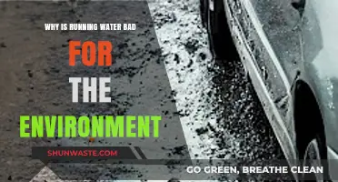Running Water's Environmental Impact: Uncovering the Hidden Ecological Costs