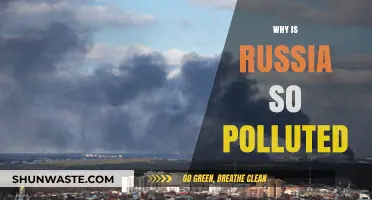 Russia's Pollution Crisis: Uncovering the Causes and Consequences