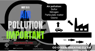 Air Pollution: A Global Health Crisis