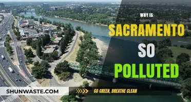 Sacramento's Air Quality Crisis: Causes and Consequences of Pollution