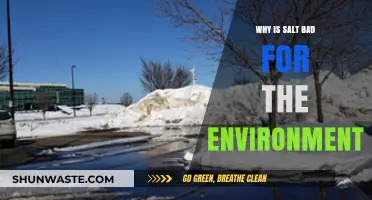 Salt's Hidden Environmental Impact: Uncovering Its Harmful Ecological Effects