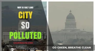 Salt Lake City's Pollution Crisis: Causes and Consequences Explained