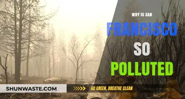 San Francisco's Pollution Crisis: Causes and Consequences Explained