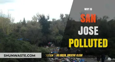 San Jose's Pollution Crisis: Causes, Impacts, and Solutions Explained