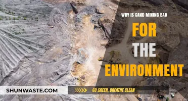 Devastating Impacts of Sand Mining on Ecosystems and Coastal Stability