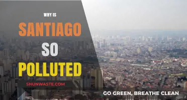 Santiago's Air Crisis: Uncovering the Causes of Severe Pollution