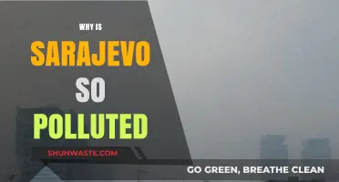 Sarajevo's Air Crisis: Uncovering the Causes of Severe Pollution