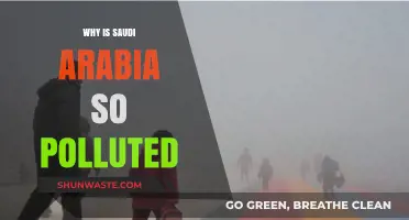 Saudi Arabia's Pollution Crisis: Causes, Impacts, and Urgent Solutions