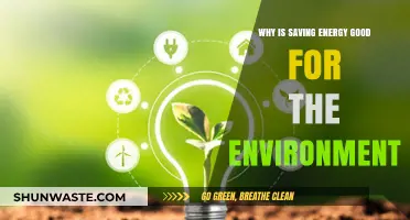 Saving Energy: A Powerful Step Towards a Greener, Healthier Planet