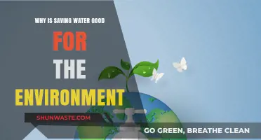 Saving Water: A Simple Act with Big Environmental Benefits