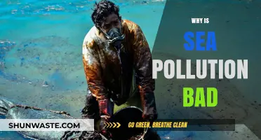 Sea Pollution's Devastating Impact: Harming Marine Life and Human Health