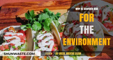 Seafood's Environmental Impact: Unsustainable Practices and Ocean Degradation Explained