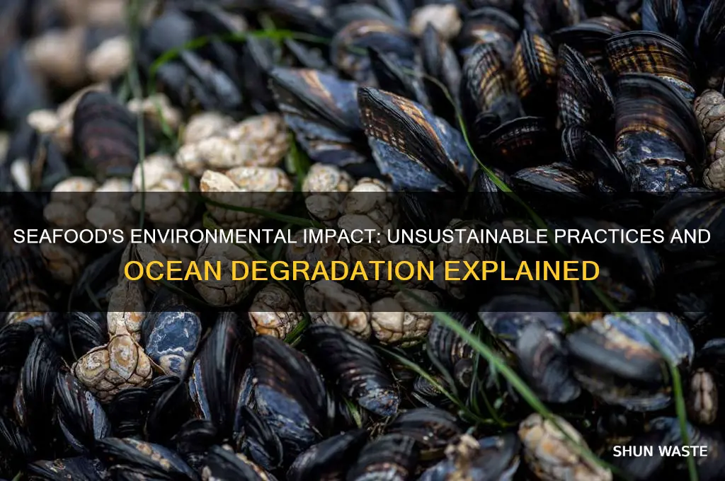 why is seafood bad for the environment