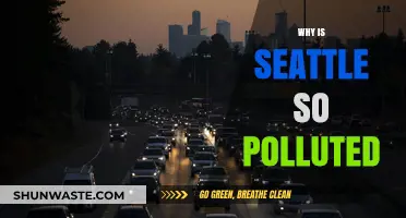 Seattle's Pollution Crisis: Uncovering the Causes and Consequences