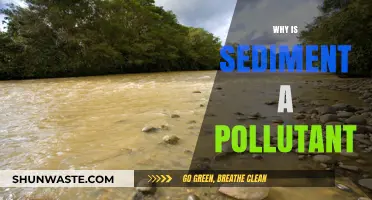 Sediment Pollution: Uncovering the Hidden Threat to Water Ecosystems
