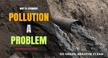 Sediment Pollution: A Hidden Threat to Ecosystems and Water Quality