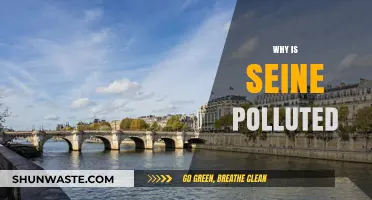 The Seine's Pollution Crisis: Causes, Impacts, and Solutions Explored