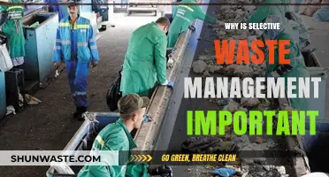 Sustainable Futures: The Critical Role of Selective Waste Management
