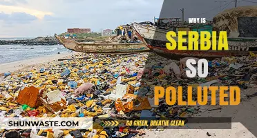 Serbia's Pollution Crisis: Causes, Consequences, and Urgent Solutions Needed