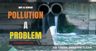 Sewage Pollution: A Silent Threat to Ecosystems and Human Health