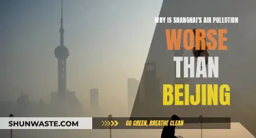 Shanghai's Air Pollution: Worse than Beijing's?