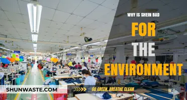 Shein's Environmental Impact: Fast Fashion's Hidden Ecological Costs Explained