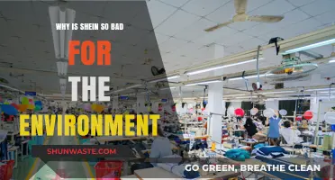 Shein's Environmental Impact: Fast Fashion's Hidden Ecological Costs Explained