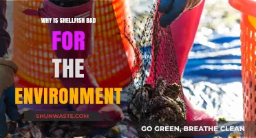 Shellfish Farming's Hidden Costs: Environmental Impacts and Sustainability Concerns