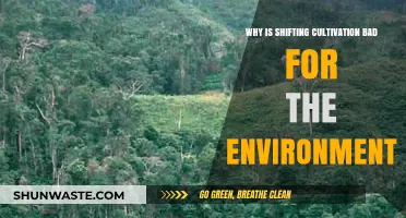 Shifting Cultivation's Environmental Impact: Soil Degradation, Deforestation, and Biodiversity Loss
