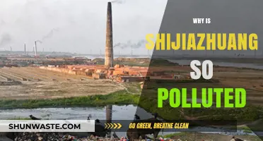 Shijiazhuang's Pollution Crisis: Causes, Impacts, and Urgent Solutions