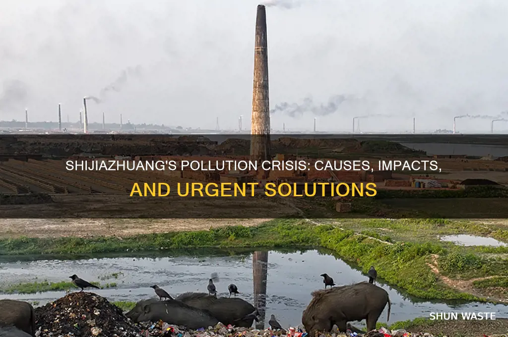 why is shijiazhuang so polluted