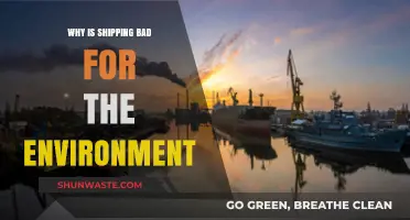Shipping's Environmental Impact: Pollution, Emissions, and Ecosystem Destruction Explained