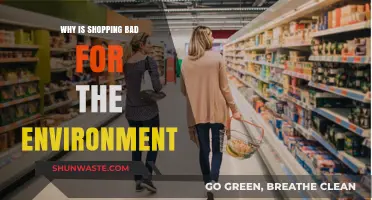 The Environmental Impact of Shopping: How Consumerism Harms Our Planet
