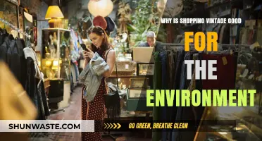 Sustainable Style: How Shopping Vintage Benefits Our Planet