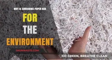 Shredding Paper's Hidden Environmental Costs: What You Need to Know