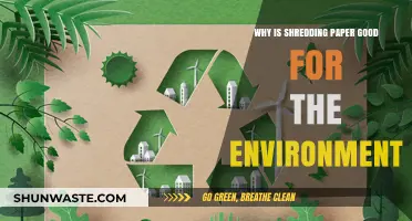 Eco-Friendly Shredding: How Paper Recycling Benefits Our Planet