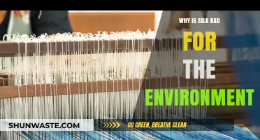 The Hidden Environmental Costs of Silk Production and Consumption