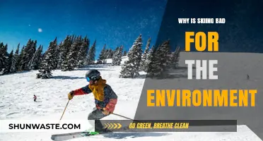 Skiing's Environmental Impact: How Winter Sports Harm Our Planet