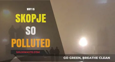 Skopje's Air Crisis: Uncovering the Causes of Severe Pollution