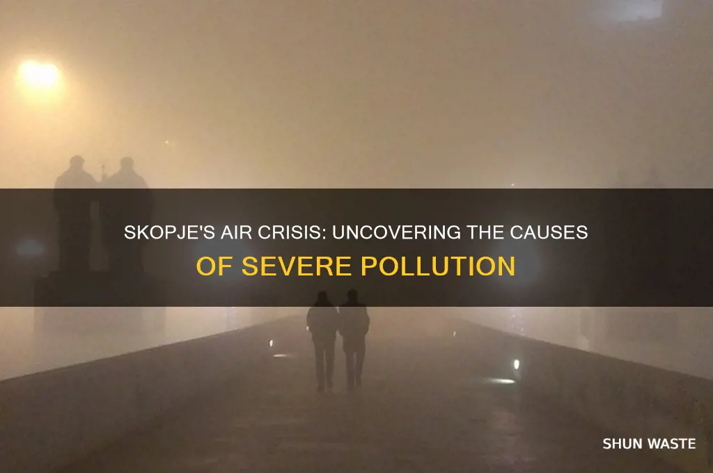 why is skopje so polluted