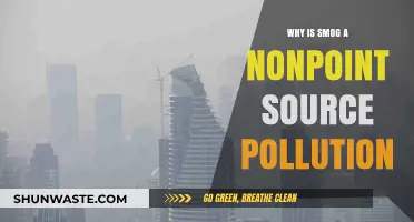 Understanding Smog: A Complex Nonpoint Source Pollution Challenge