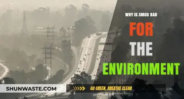 Smog's Environmental Impact: Harmful Effects on Air, Health, and Ecosystems