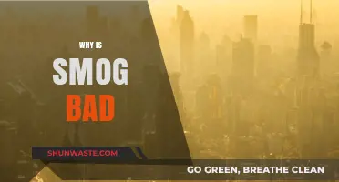 Smog's Harmful Effects: Understanding the Dangers