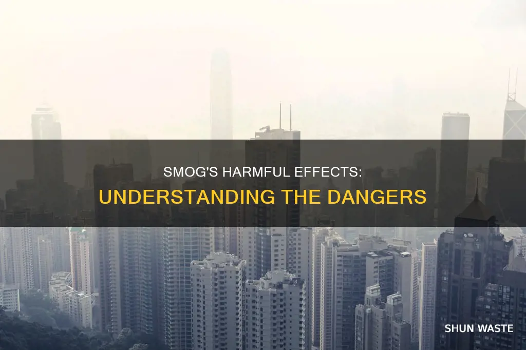 why is smog bad